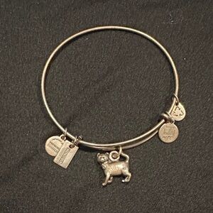 Alex and Ani Silver Cat Charm Bracelet